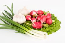 Spring Onions, Garlic, Lettuce And Radish Royalty Free Stock Images Spring Onions, Garlic, Lettuce And Radish Royalty Free Stock Images