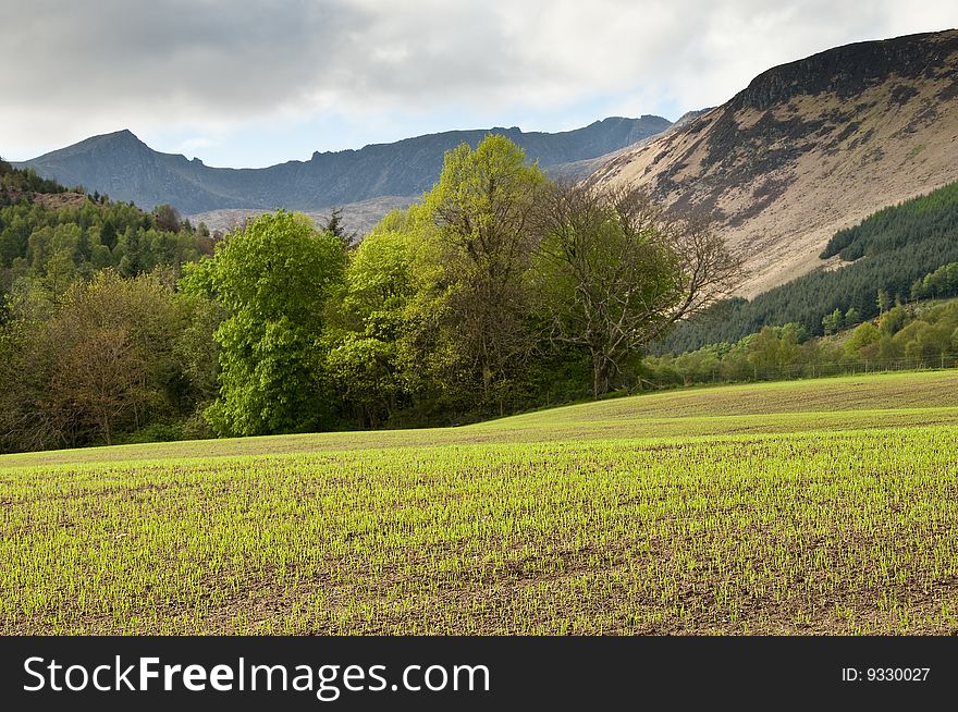 Mountain from green field with trees and clouds. Mountain from green field with trees and clouds