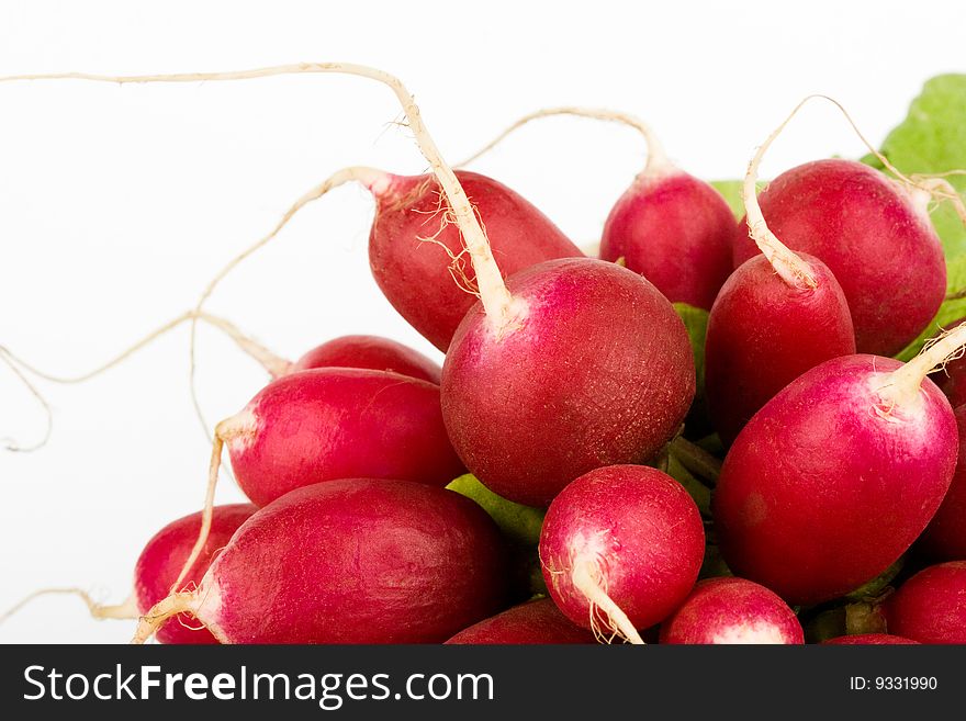 Fresh delicious radish bunch on the white background. Fresh delicious radish bunch on the white background