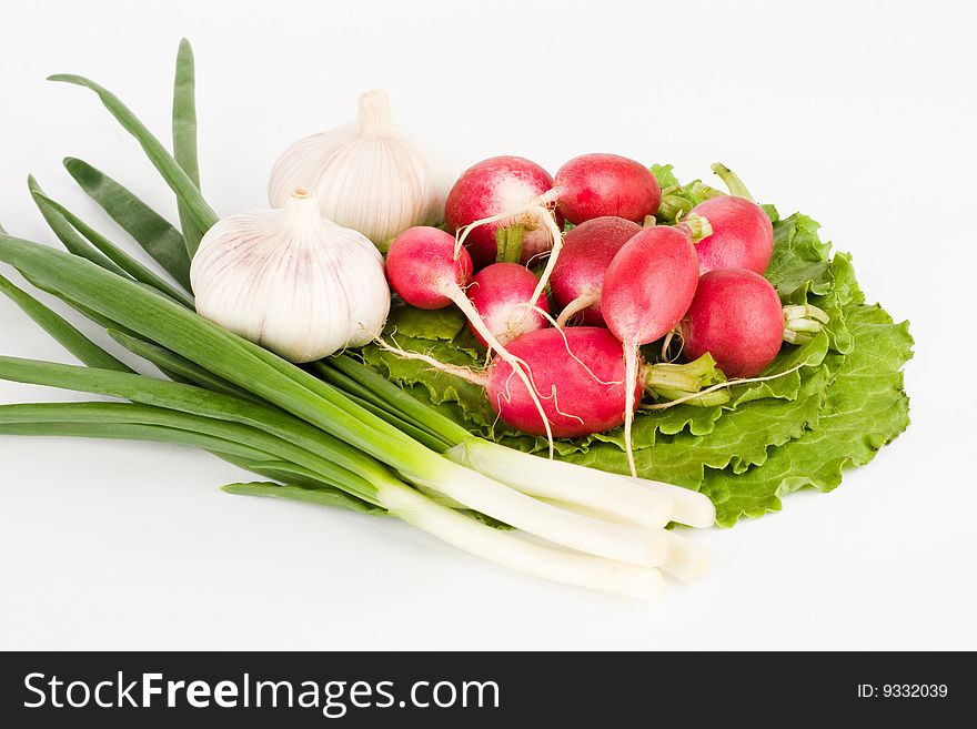Spring onions, garlic, lettuce and radishes  on the white background