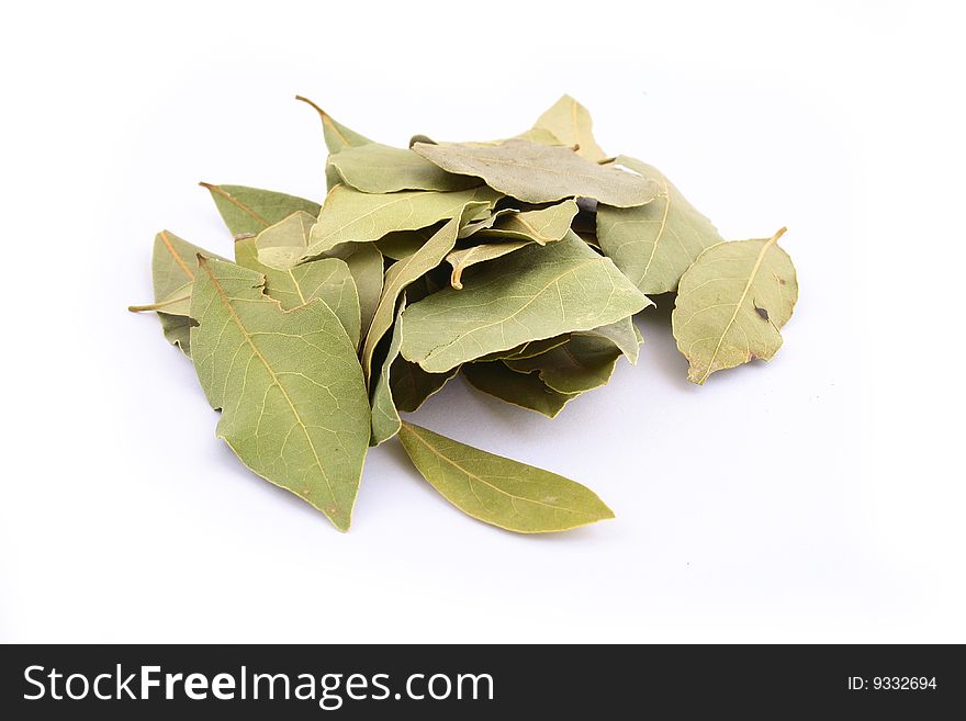 Lots of bay leaves on white background. Lots of bay leaves on white background