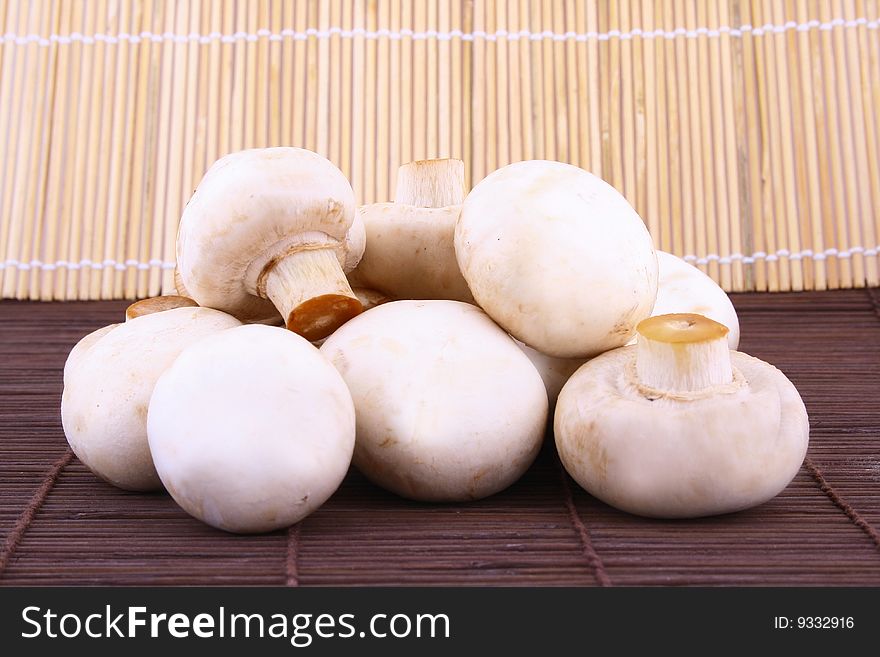 Mushroom group isolated on white background