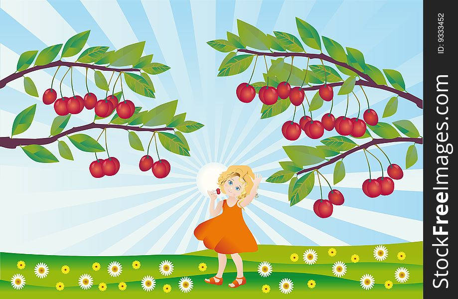 By a sun day a child tears ripe cherries. By a sun day a child tears ripe cherries