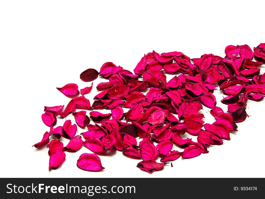 Beautiful red roses petals on a white background
