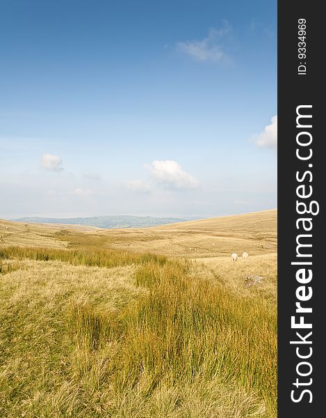 The rolling open moorland of the Brecon Beacons in Wales, UK.