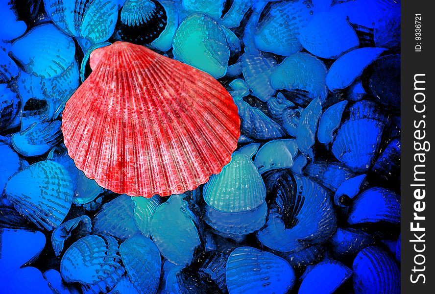 Red and blue sea shells as background