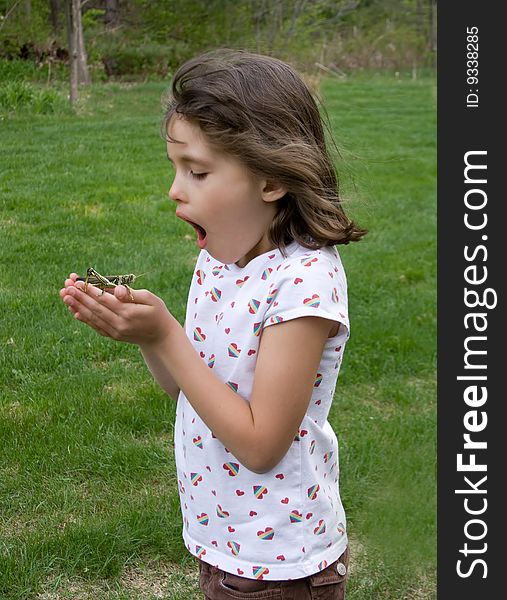 An amazed child with a grasshopper in her hands. An amazed child with a grasshopper in her hands