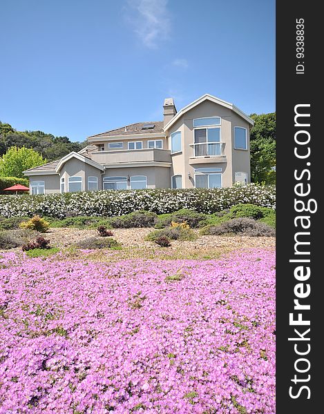 Two story house with purple flower in front. Yard of shrubs and plants. Blue sky.