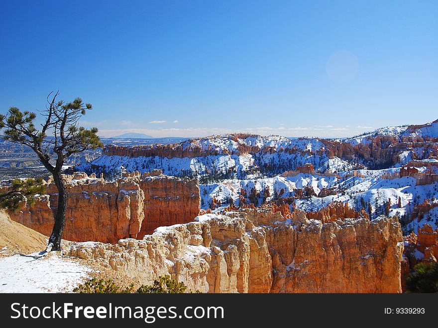 Bryce canyon scenic landscape view