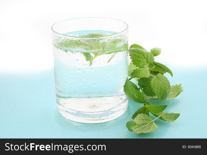 Closeup of a glass of ice water with fresh mint