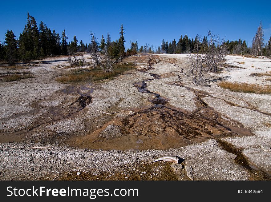 Brook In Yellowstone