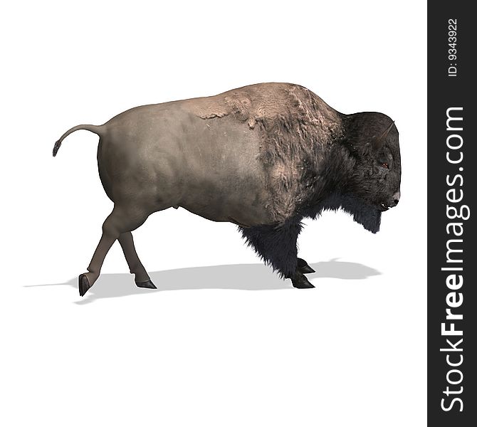 Wild Bison with horns and fur over white. With Clipping Path. Wild Bison with horns and fur over white. With Clipping Path