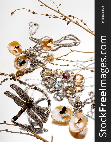 Jeweller ornaments with dry branches