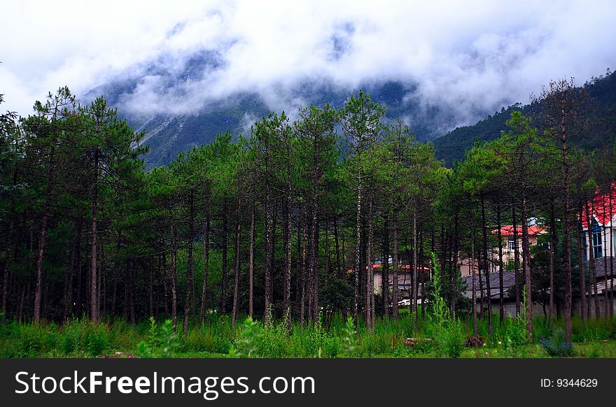 At Yulong Snow mountain foothills, forest and Villa.