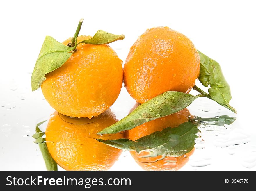 Fresh Mandarins