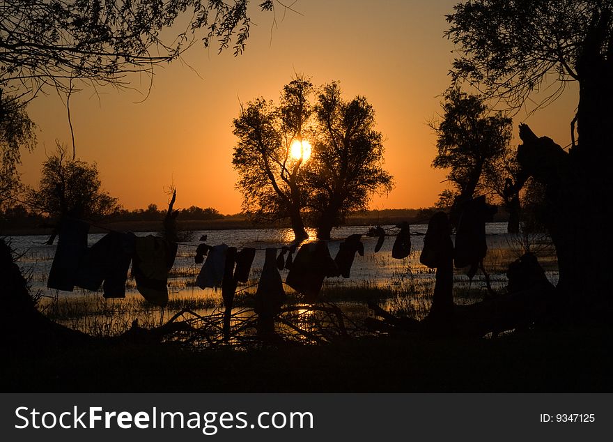 Silhouette of a tree on a beautiful sunset background. Silhouette of a tree on a beautiful sunset background.