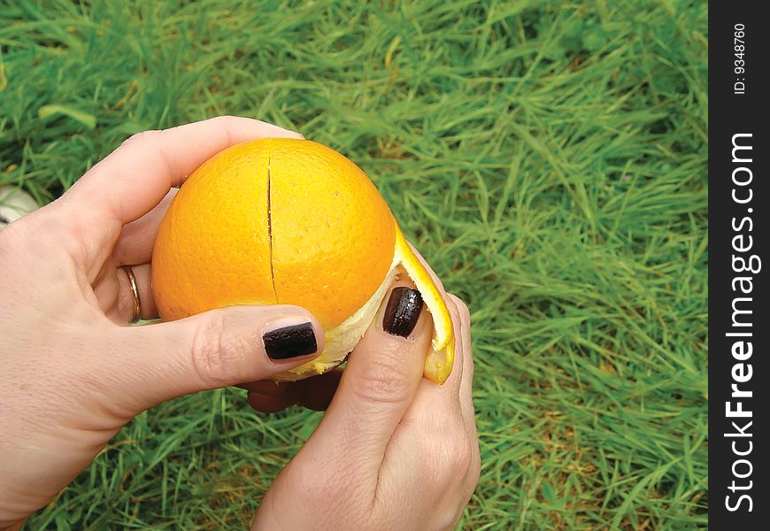 Orange Fruit And Grass