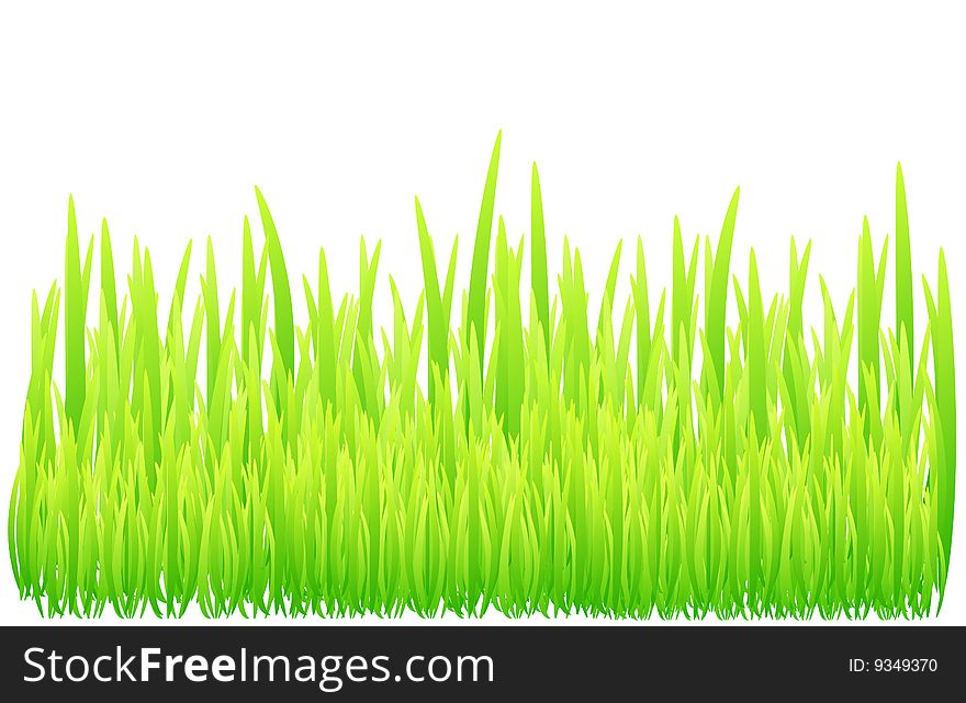 Juicy grass background. Vector illustration