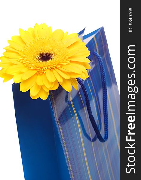 Paper bag for gifts with flower