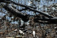 Ecology. Pollution Of Nature By Human. A Lot Of Household Waste In Water Stock Photos Ecology. Pollution Of Nature By Human. A Lot Of Household Waste In Water Stock Photos