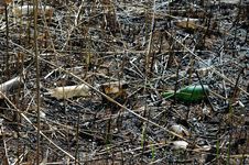 Ecology. Pollution Of Nature By Human. A Lot Of Household Waste In Water Royalty Free Stock Photo Ecology. Pollution Of Nature By Human. A Lot Of Household Waste In Water Royalty Free Stock Photo