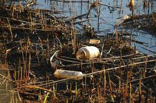 Ecology. Pollution Of Nature By Human. A Lot Of Household Waste In Water Royalty Free Stock Photo Ecology. Pollution Of Nature By Human. A Lot Of Household Waste In Water Royalty Free Stock Photo