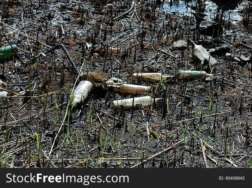 Ecology. Pollution of nature by human. A lot of household waste in water