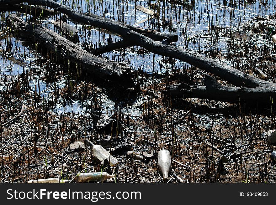 Ecology. Pollution Of Nature By Human. A Lot Of Household Waste In Water