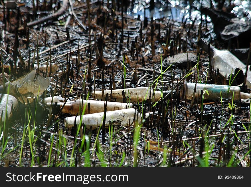 Ecology. Pollution of nature by human. A lot of household waste in water