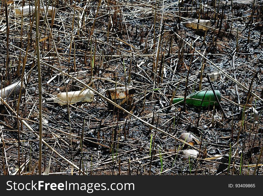 Ecology. Pollution Of Nature By Human. A Lot Of Household Waste In Water