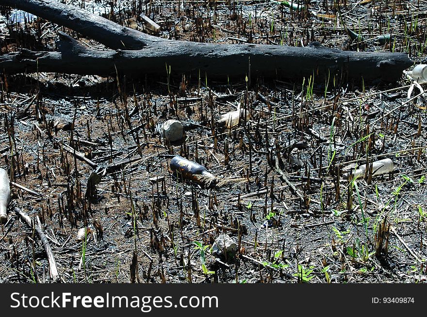 Ecology. Pollution of nature by human. A lot of household waste in water