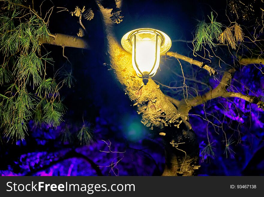 Street lantern illuminated at night in Dubrovnik, Croatia