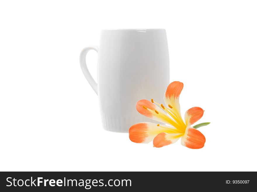 White cup with flower. Isolated on white.