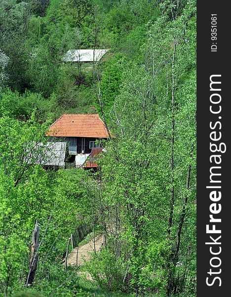 Isolated houses on Merisor village