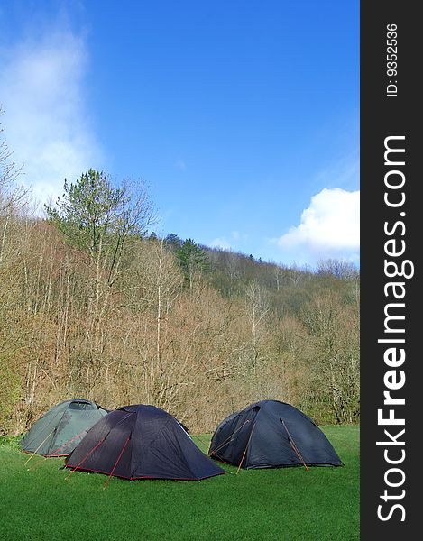 Campsite in the forest early in the morning