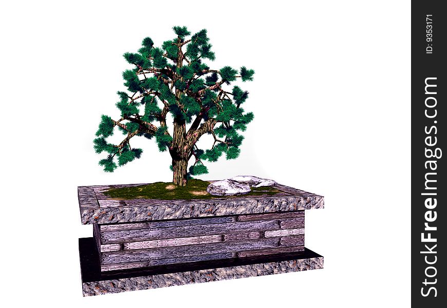 3D rendering of a bonsai tree in plantstone over white background
