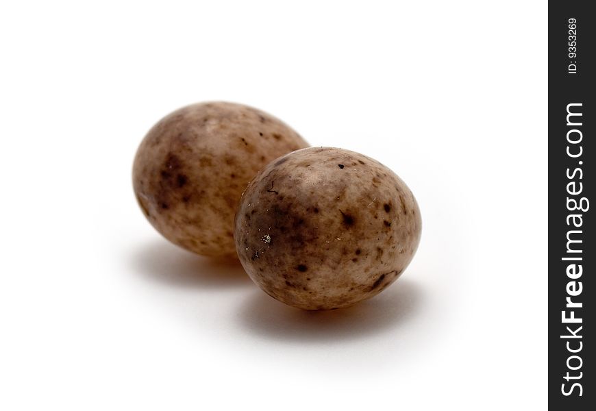 Studio photograph of a pair of Great tit's eggs