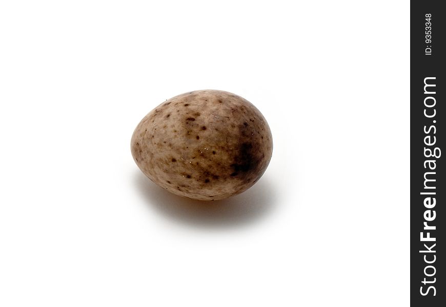 Studio photograph of a single unhatched egg of a Great tit. Studio photograph of a single unhatched egg of a Great tit