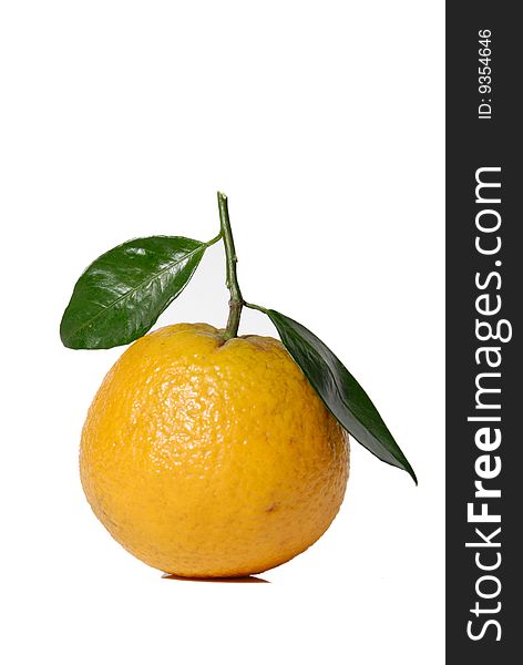 This is a chinese orange on the white background.