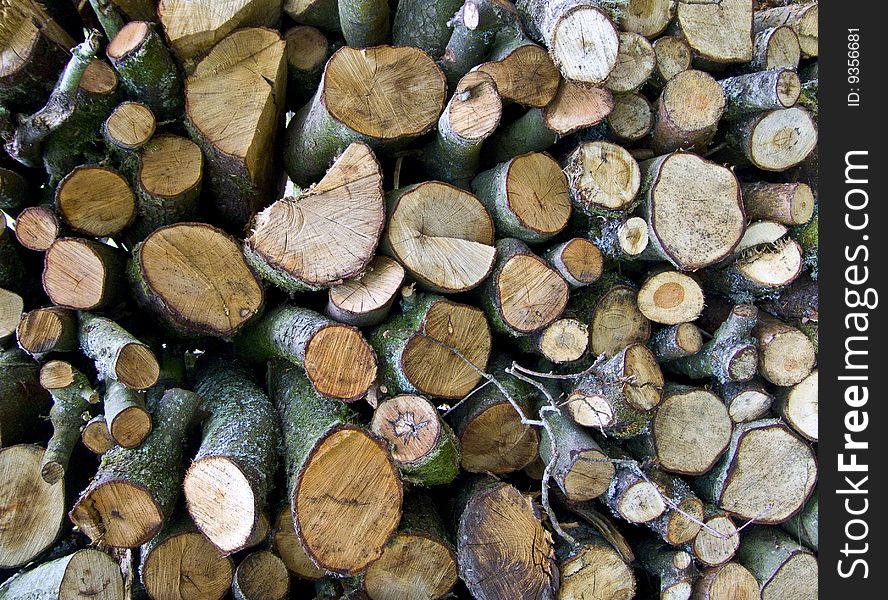 Pile of chopped wooden logs. Pile of chopped wooden logs