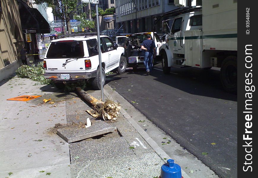 Tree Accident On Dunsmuir And Seymour - Roland In Vancouver 2464