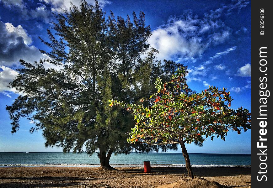 Nice to find a stretch of beach this uncrowded, down near Carolina Beach Park, Isla Verde, Puerto Rico. Nice to find a stretch of beach this uncrowded, down near Carolina Beach Park, Isla Verde, Puerto Rico