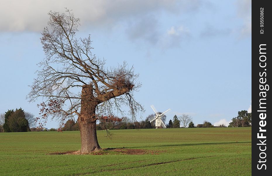 View To Bocking Windmill