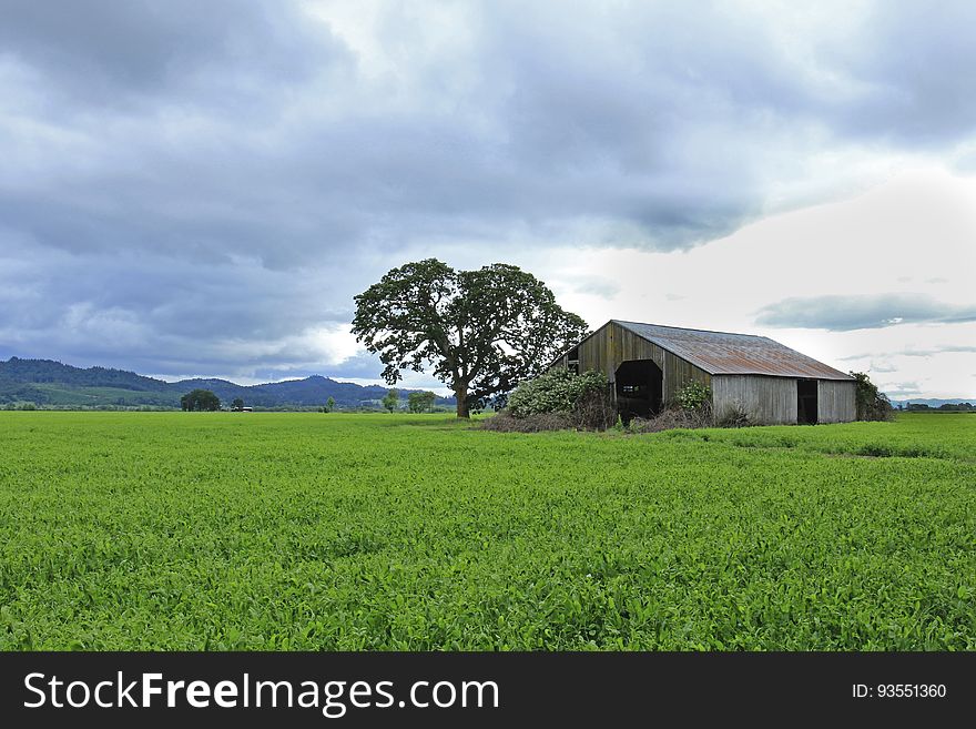Old barn, stormy skies, green field, Oregon