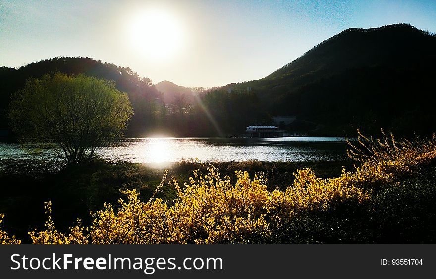 sunset Forsythiaã€€ê°œë‚˜ë¦¬ã€€ãƒ¬ãƒ³ã‚®ãƒ§ã‚¦ Seorak 2016 on flickr. sunset Forsythiaã€€ê°œë‚˜ë¦¬ã€€ãƒ¬ãƒ³ã‚®ãƒ§ã‚¦ Seorak 2016 on flickr