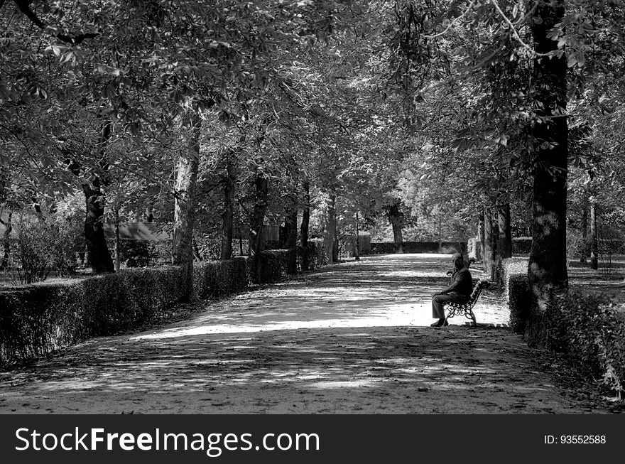 Parque Del Buen Retiro - Madrid