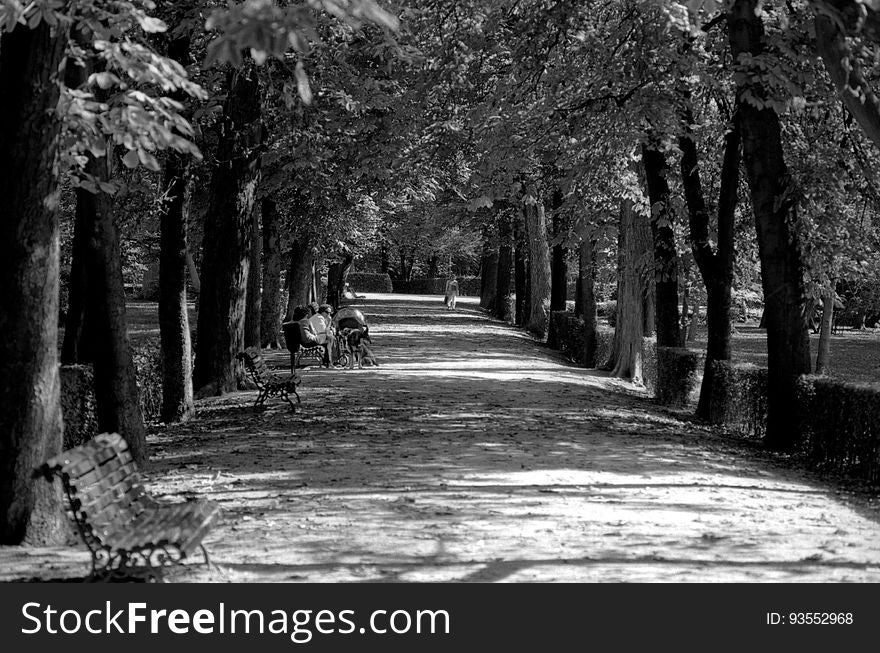 Parque Del Buen Retiro - Madrid