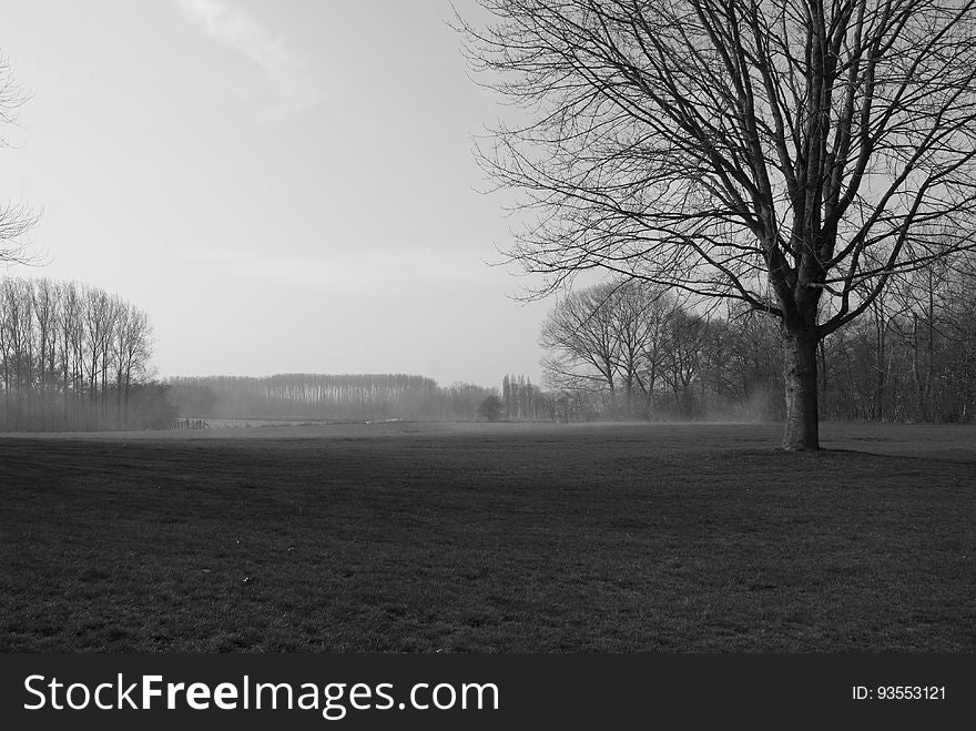 Black and White of Field near Hill 62, Belgium
