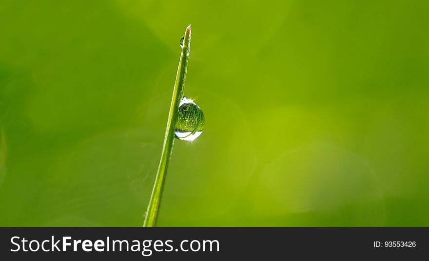 Macro Photography Of Droplet On Green Leaf During Daytime