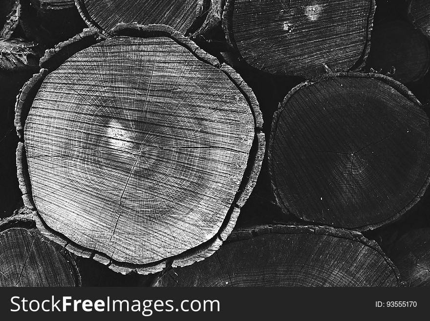 Grayscale Photo Of Tree Trunk